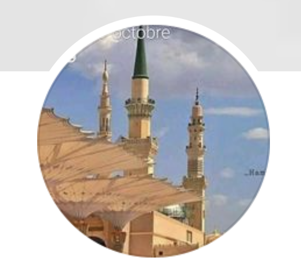 Mohamed Hamo